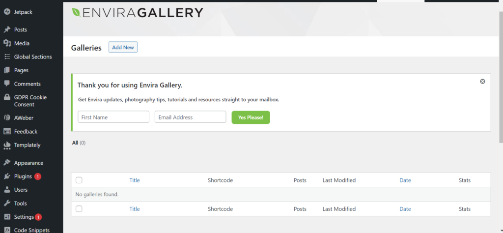 Envira Gallery" activate